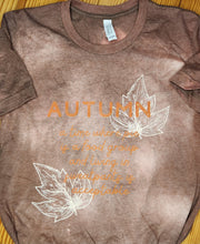 Load image into Gallery viewer, Autumn...a time where pie is a food group...